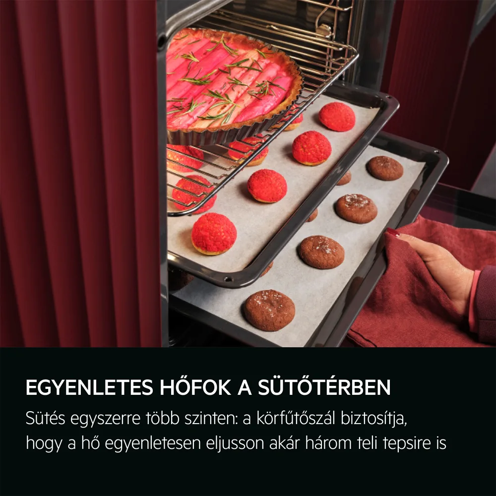 Aeg TB8SB73ZAB MealAssist/SteamPro 8000 Gőzsütő, gőztisztítással 5. kép