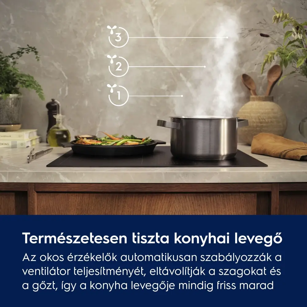 Electrolux EFV729K Páraelszívó 4. kép