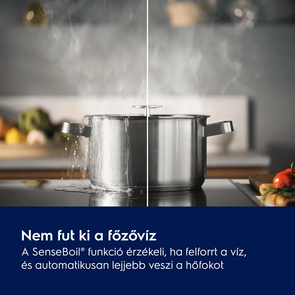 Electrolux LXS3SE82R BI Hűtőszekrény TT 7. kép