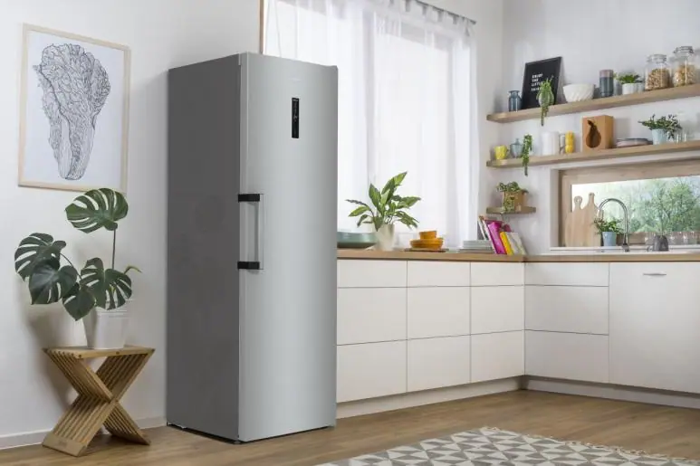 Gorenje FN619DAXL6 beépíthető fagyasztószekrény 13. kép