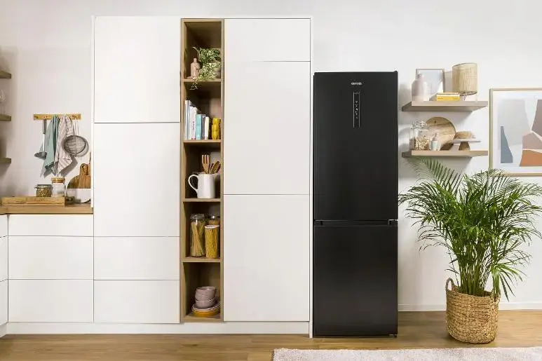 Gorenje NRK619EABXL4 alulfagyasztós hűtőszekrény 19. kép