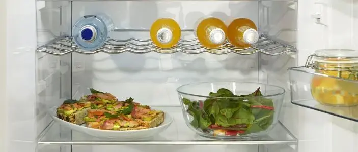Gorenje R619DABK6 hűtőszekrény 20. kép