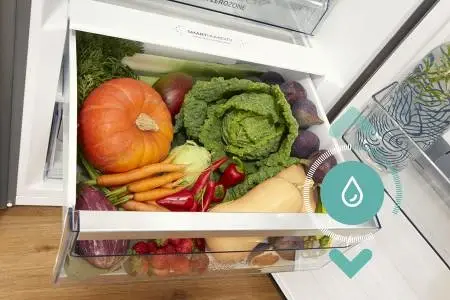 Gorenje R619DABK6 hűtőszekrény 21. kép