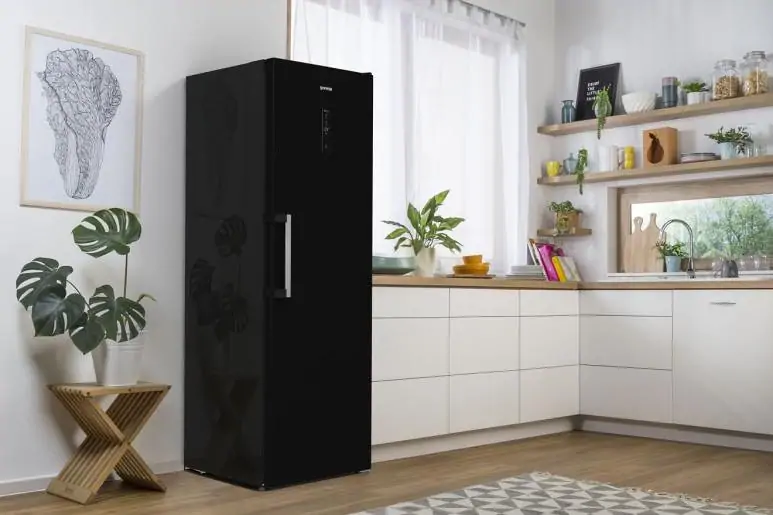 Gorenje R619EABK6 hűtőszekrény 22. kép