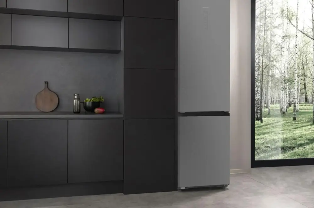 Hisense RB5P410SACA alulfagyasztós hűtőszekrény 17. kép