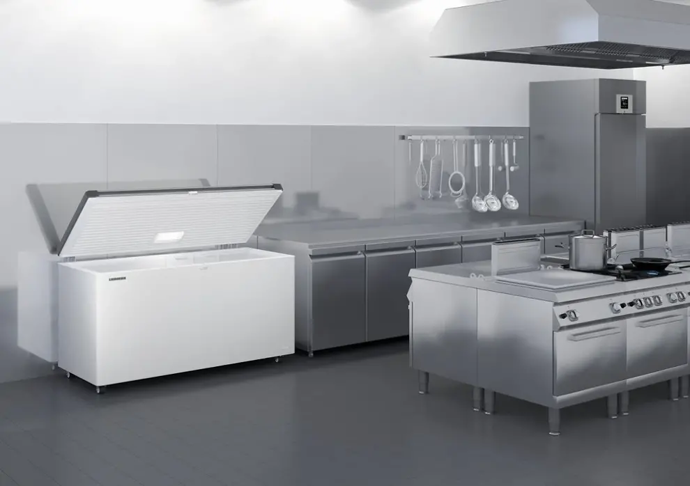 Liebherr EFL 4656 Fagyasztóláda 4. kép