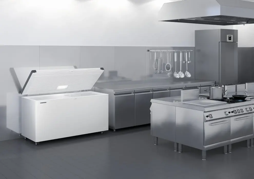 Liebherr EFL 4656 Fagyasztóláda 5. kép