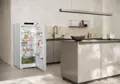 Liebherr K 46VD00 hűtőszekrény 10. kép